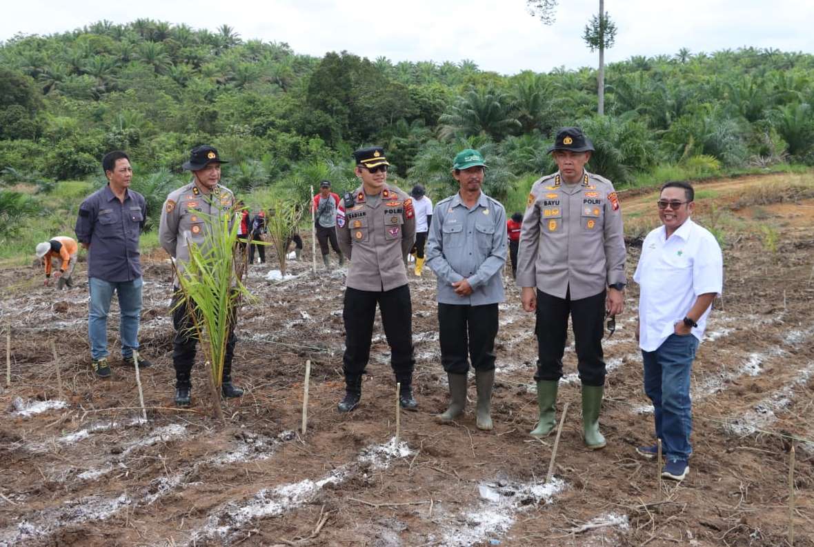 Sinergi Polda Kalbar dan PTPN IV Dorong Swasembada, Penanaman Jagung 10 Hektare Dimulai di Kembayan