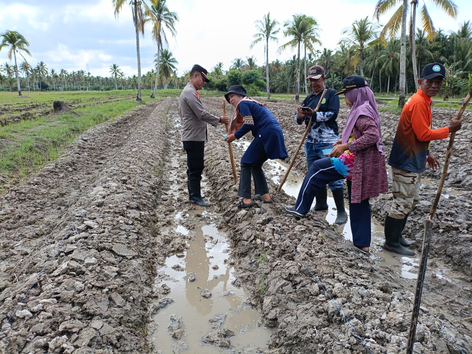 Polsek Matan Hilir Selatan Bersama Forkopincam dan Mahasiswa Untan Tanam Jagung Hibrida