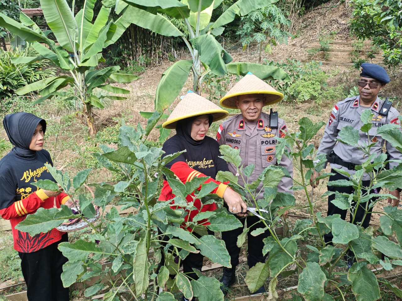 Satbrimob Polda Kalbar terus menunjukkan komitmennya dalam mendukung program strategis pemerintah dengan memanfaatkan lahan tidur di masing-masing ksatriaan menjadi lahan yang produktif
