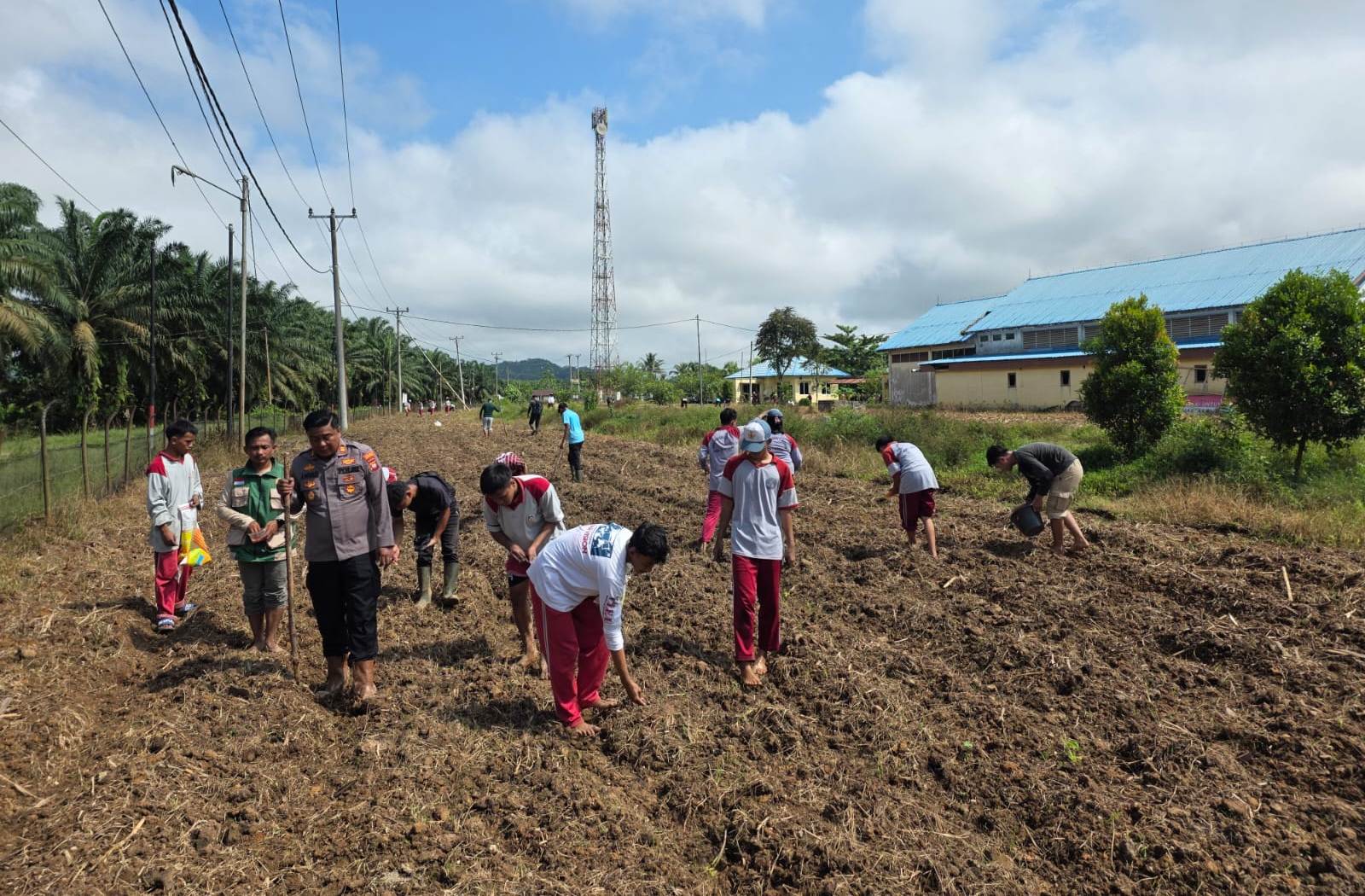 Dukung Asta Cita, Polsek Mukok Turun Langsung Tanam Jagung Bersama Warga