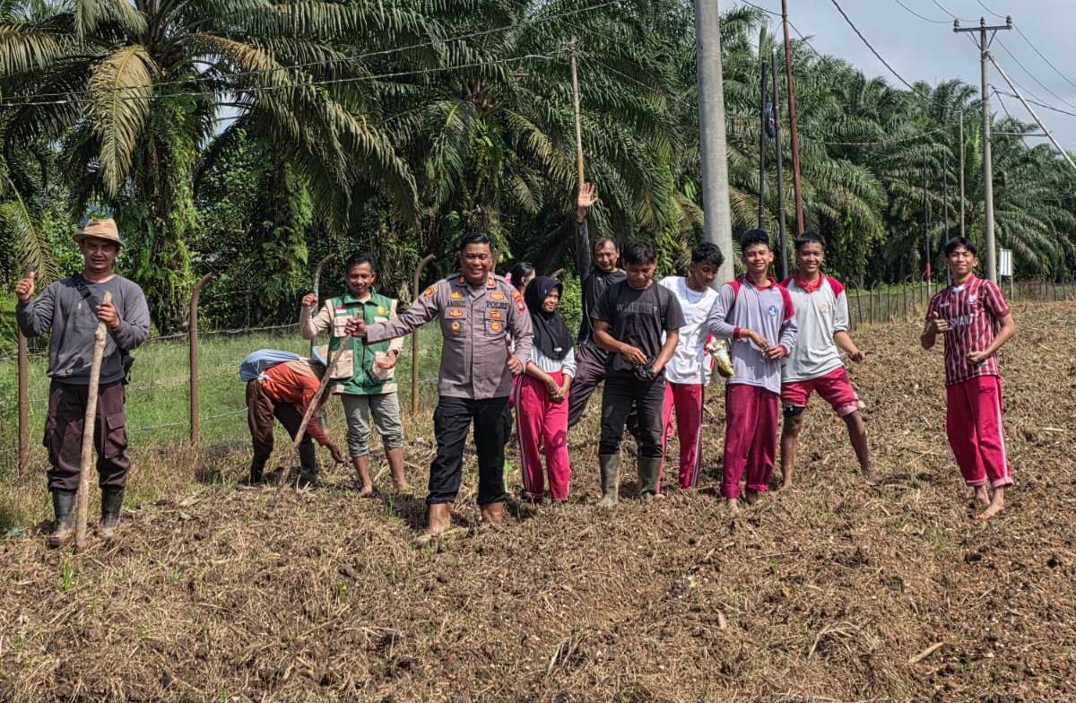 Dukung Asta Cita, Polsek Mukok Turun Langsung Tanam Jagung Bersama Warga