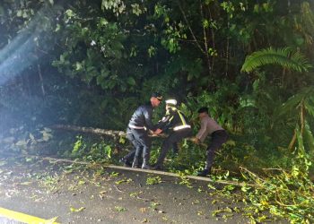 Respons Cepat Polisi, Pohon Tumbang di Jalur Sintang–Nanga Pinoh Berhasil Dievakuasi