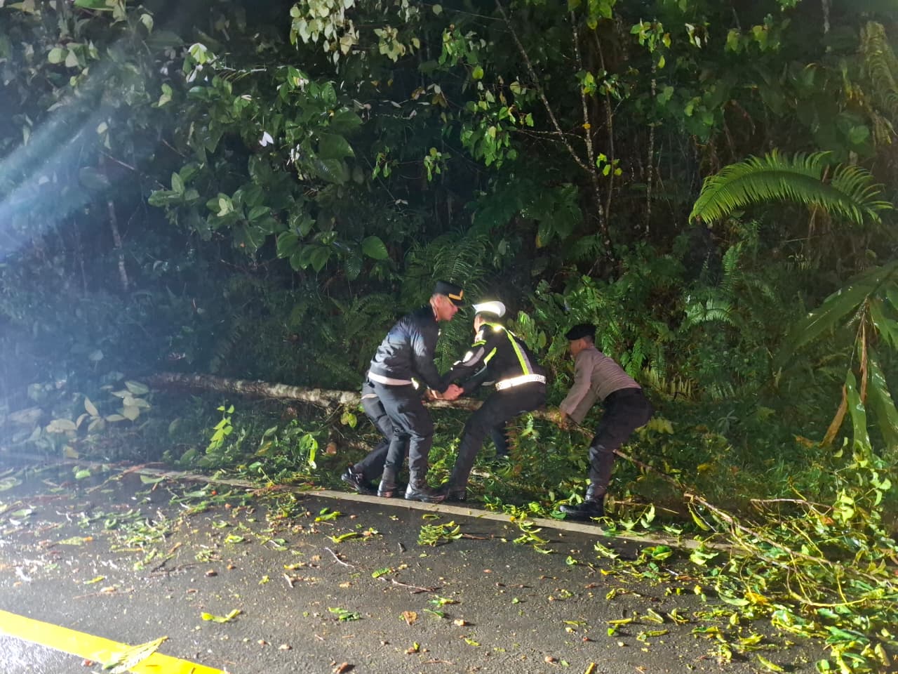 Respons Cepat Polisi, Pohon Tumbang di Jalur Sintang–Nanga Pinoh Berhasil  Dievakuasi - Polda Kalbar
