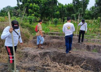 Dari Lahan Demplot ke Ketahanan Pangan, Polsek Mukok Bergerak Bersama Masyarakat