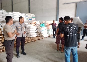 Polisi Hadir Kawal Distribusi Jagung, Pastikan Hasil Panen Petani Tersalurkan dengan Aman
