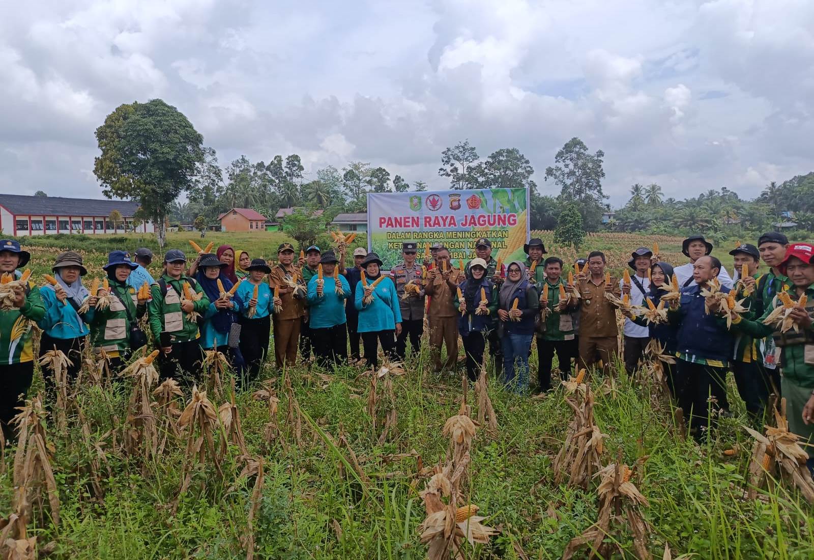 Kebersamaan di Lahan Jagung, Langkah Nyata Menuju Kemandirian Pangan