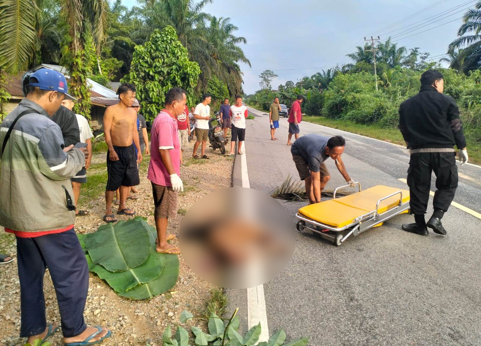 Pejalan Kaki Tewas Diduga Ditabrak Kendaraan Misterius di Parindu, Polisi Lakukan Penanganan Awal dan Penyelidikan