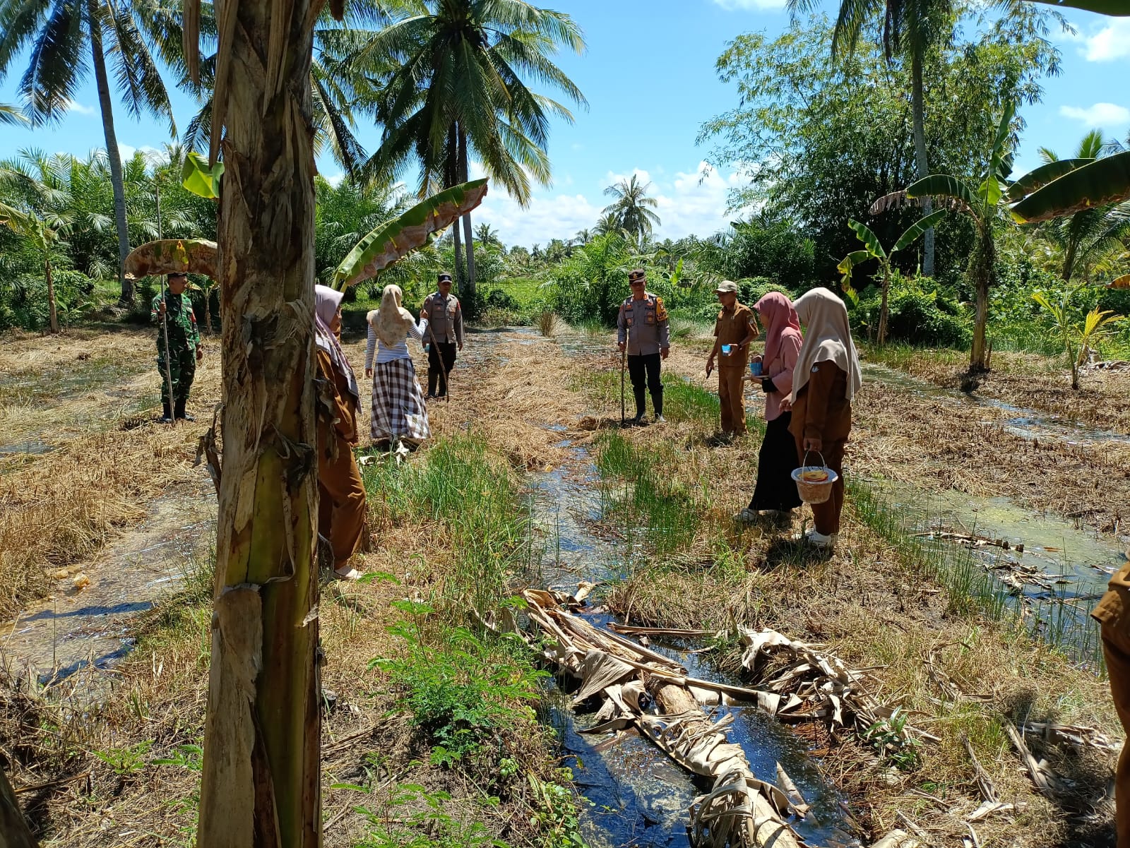 Kapolsek Matan Hilir Selatan Pimpin Penanaman Jagung Hibrida untuk Dukung Ketahanan Pangan Nasional