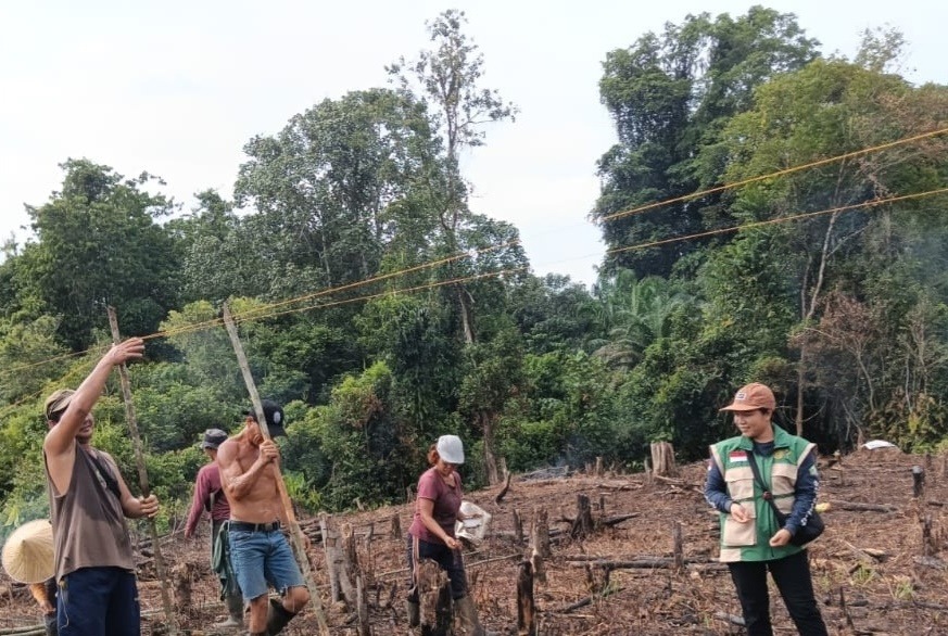 Lahan Demplot Polsek Tayan Hulu Dimanfaatkan untuk Pengembangan Jagung Hibrida