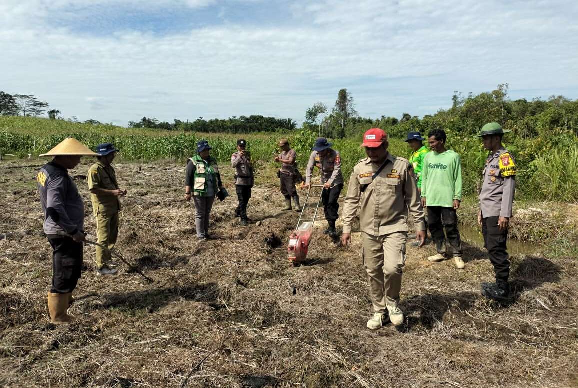Ketahanan Pangan Dimulai dari Desa, Polsek Beduai Dukung Penanaman Jagung Hibrida 1,5 Hektare
