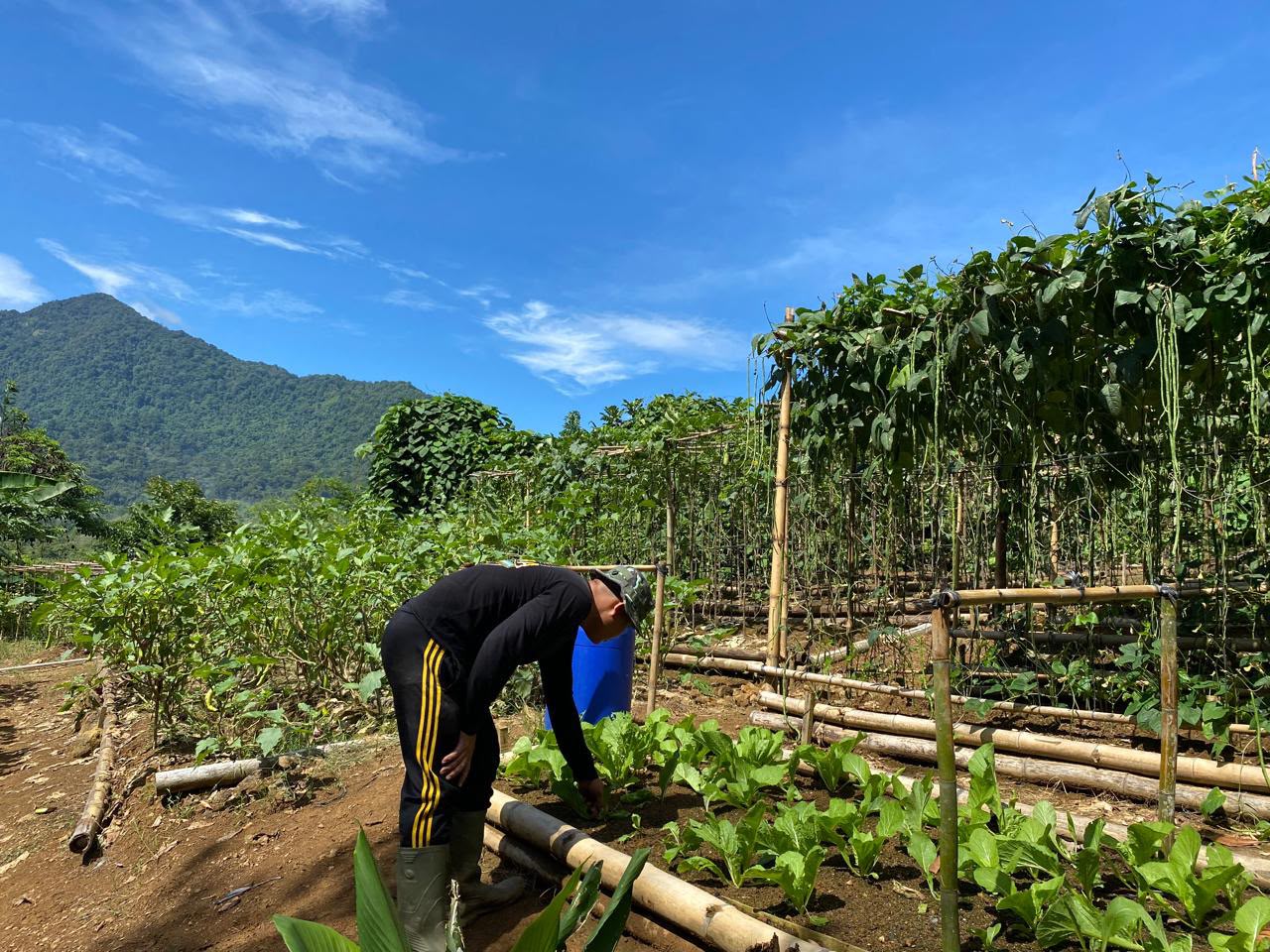Brimob Kalbar Dukung Swasembada Pangan Melalui Pemanfaatan Kosong Menjadi Lahan Produktif