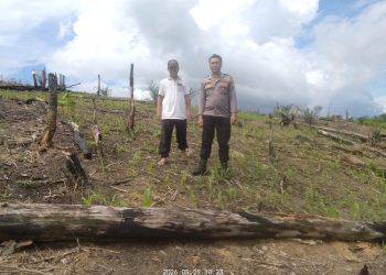 Bhabinkamtibmas Polsek Menyuke Lakukan Pengecekan Tanam Jagung Serentak Kuartal II Ta 2026