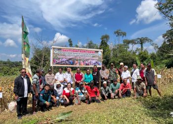 Panen Jagung Hibrida BUMDes Desa Hilir Kantor Tembus 3 Ton, Perkuat Ketahanan Pangan di Landak