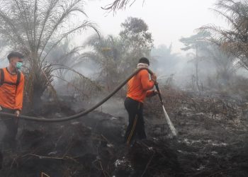 Tak Sekadar Padamkan Api, “X-Fire” Polda Kalbar Redam Bara dan Asap Karhutla