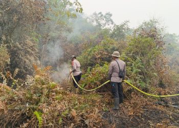 Cegah Api Meluas, Brimob Kalbar Bersama BPBD Padamkan Kebakaran Lahan di Sintang