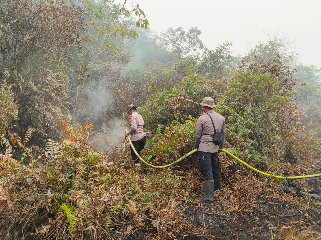 Cegah Api Meluas, Brimob Kalbar Bersama BPBD Padamkan Kebakaran Lahan di Sintang