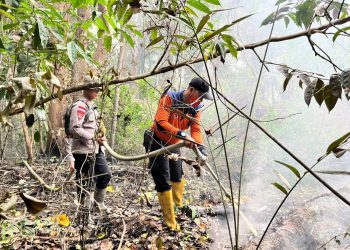 Gerak Cepat Brimob Kalbar, Karhutla di Sintang Ditangani Sebelum Meluas