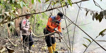 Gerak Cepat Brimob Kalbar, Karhutla di Sintang Ditangani Sebelum Meluas