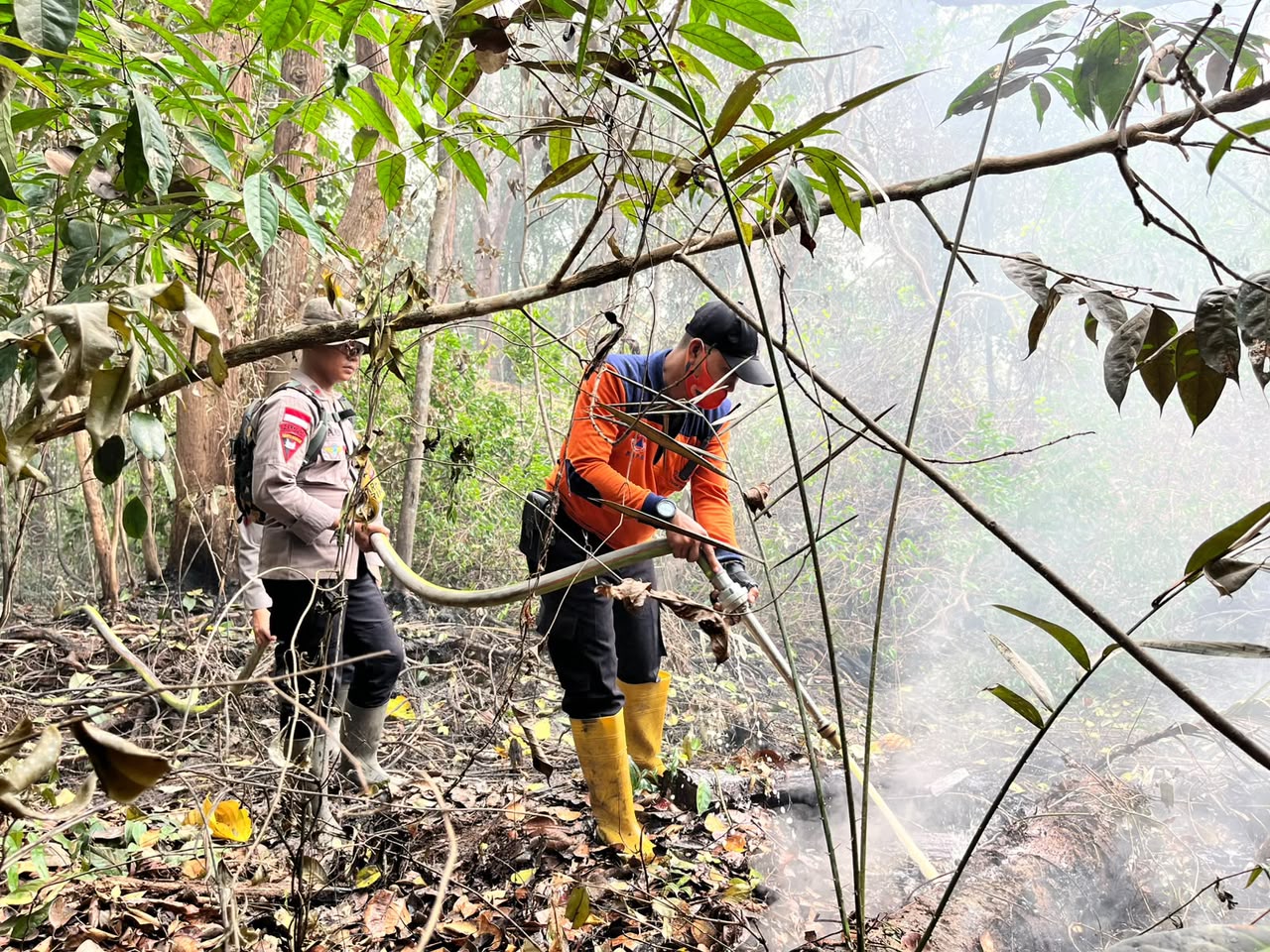 Gerak Cepat Brimob Kalbar, Karhutla di Sintang Ditangani Sebelum Meluas