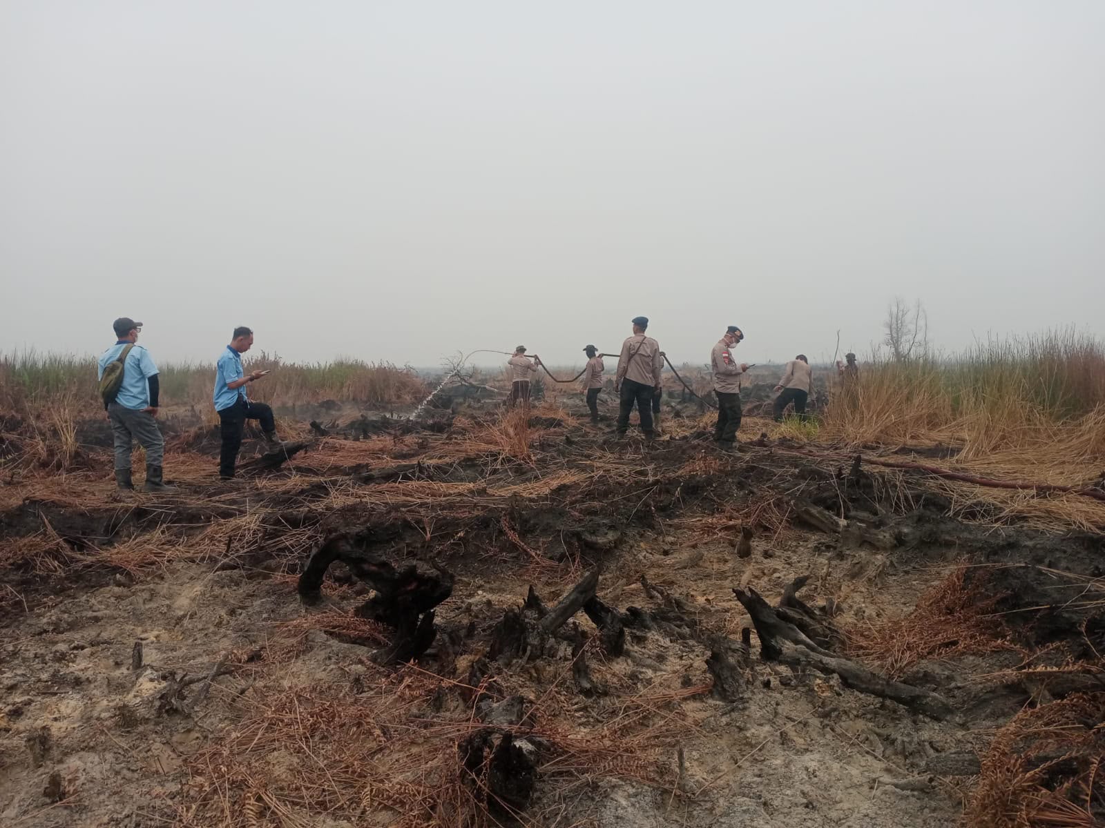 Cegah Munculnya Titik Api, Patroli Lahan Bekas Karhutla Terus Diintensifkan