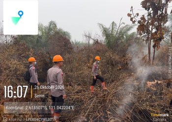 Cegah Api Kembali Muncul, Brimob Kalbar Patroli di Lahan Bekas Karhutla di Kabupaten Ketapang